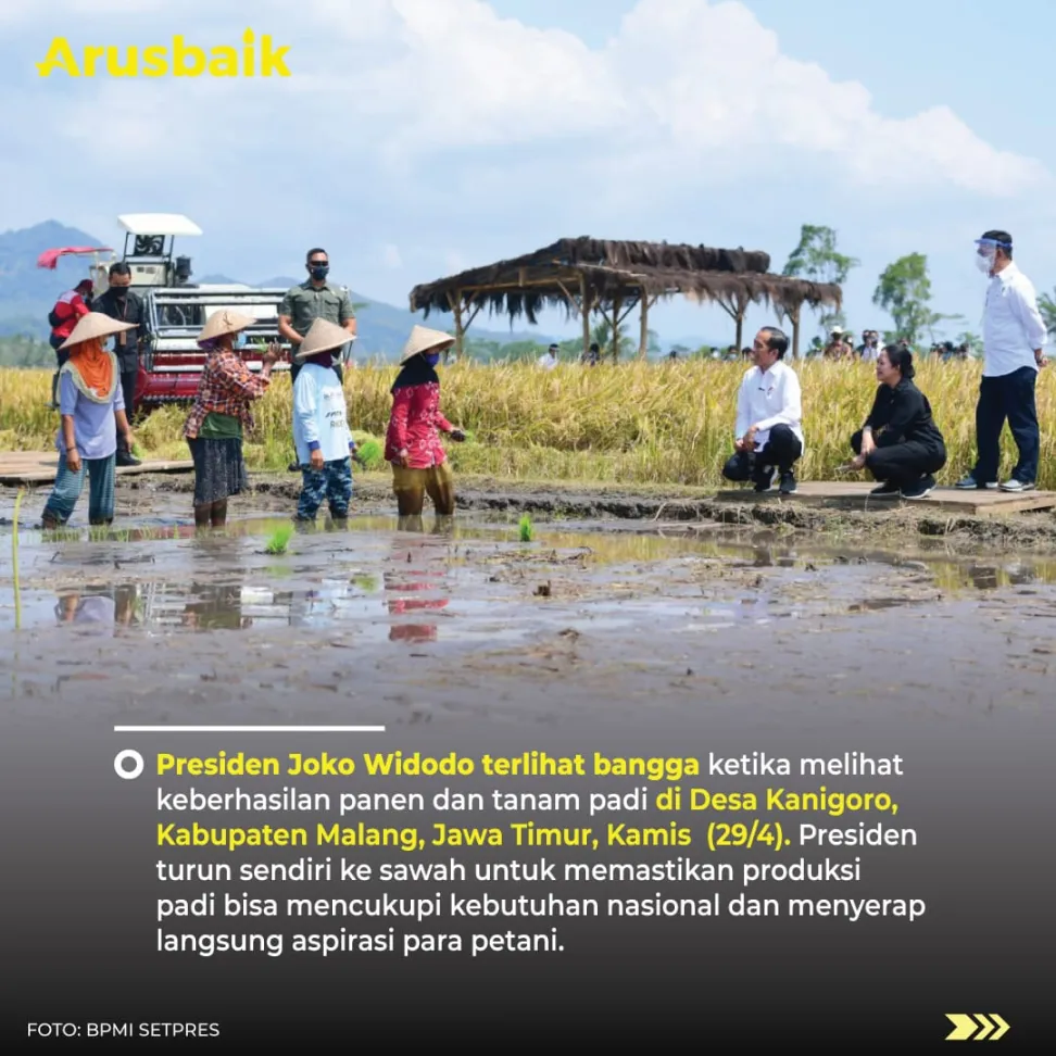Turun Ke Sawah, Presiden Jokowi Ikut Panen Padi