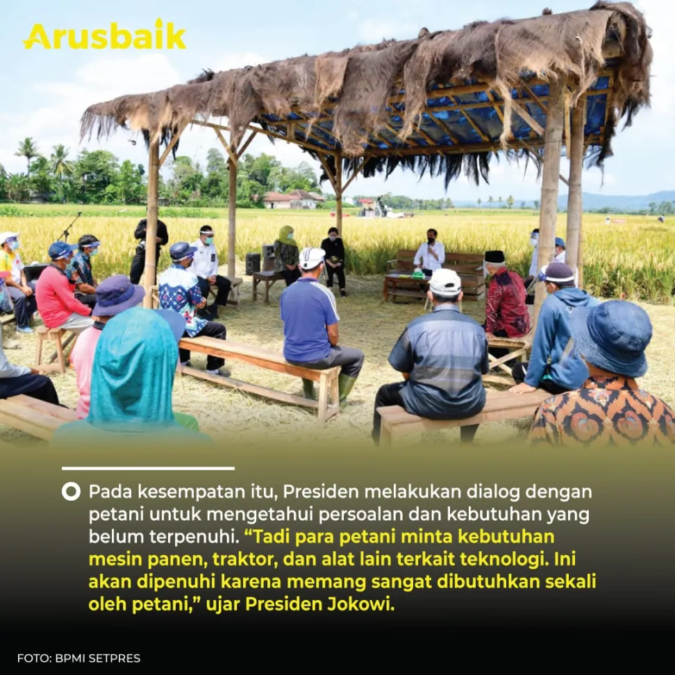 Turun Ke Sawah, Presiden Jokowi Ikut Panen Padi