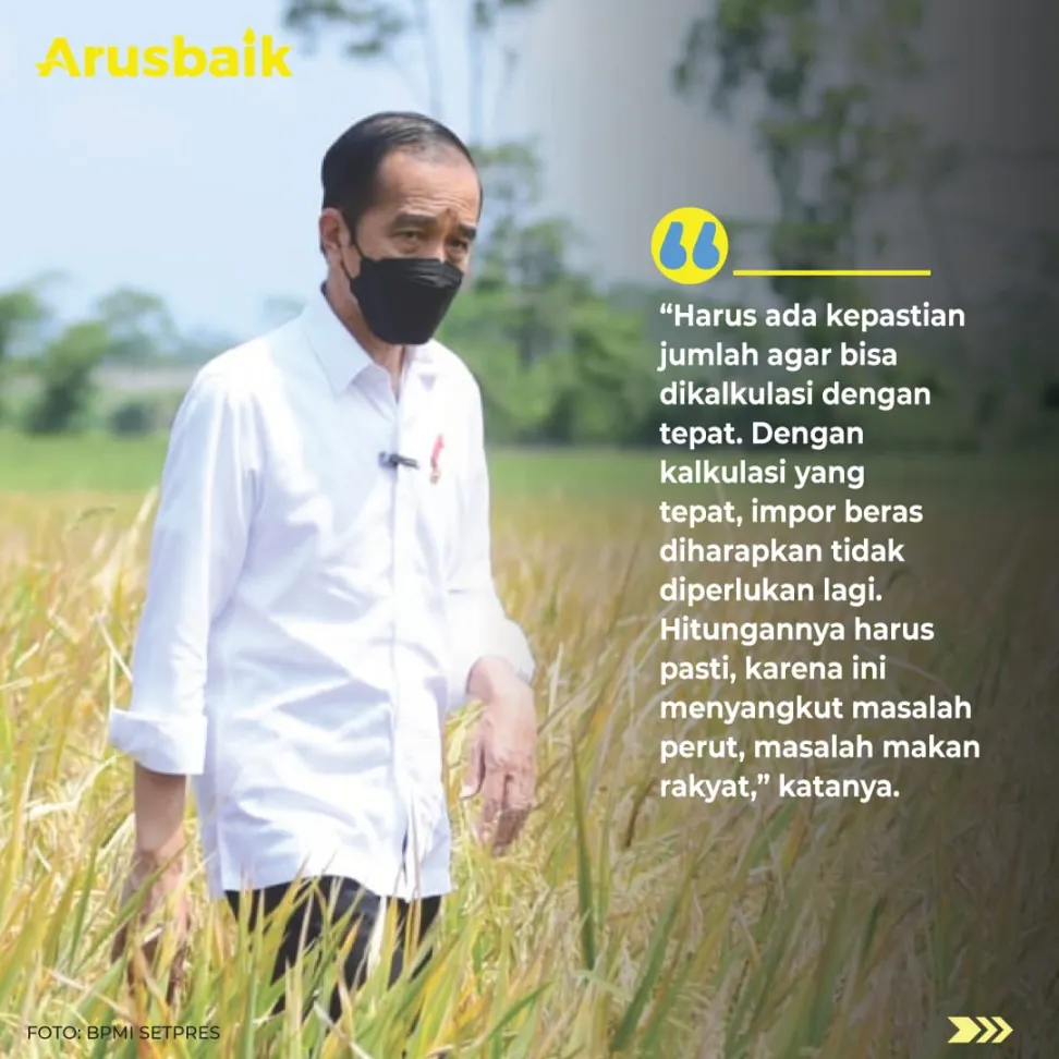 Turun Ke Sawah, Presiden Jokowi Ikut Panen Padi