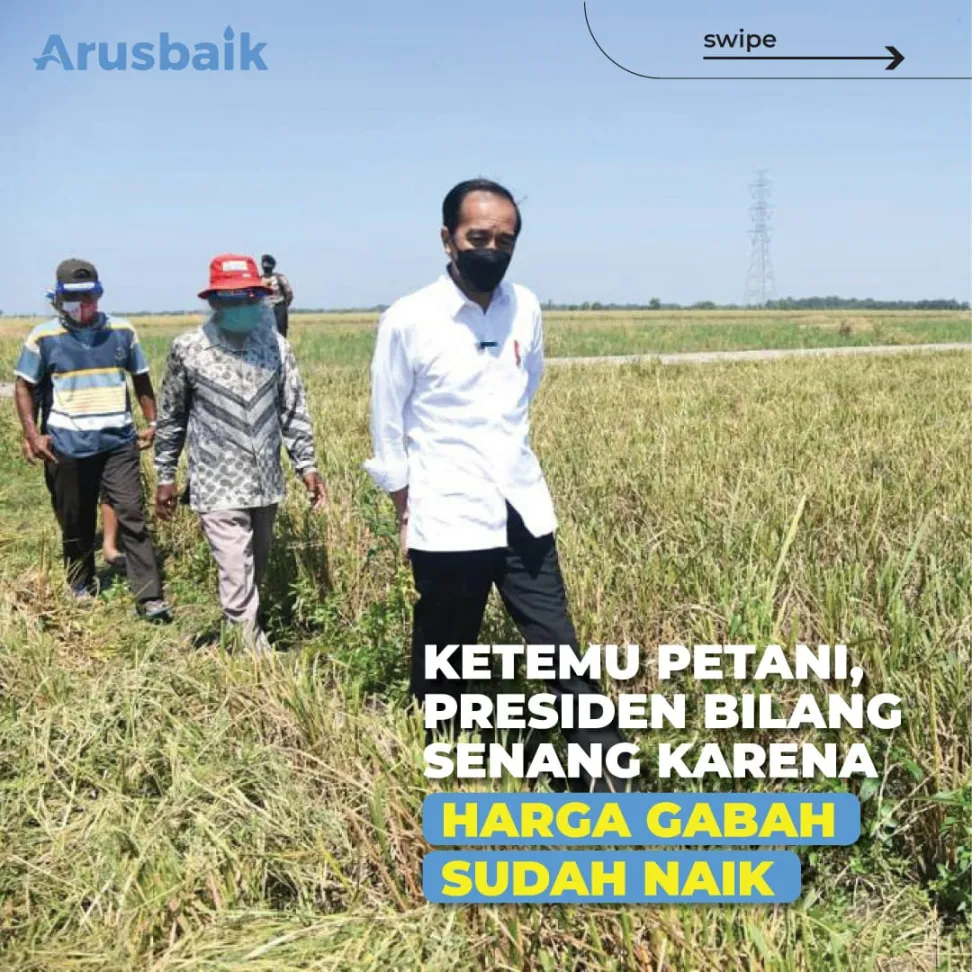 Ketemu Petani, Presiden Bilang Senang Karena Harga Gabah Sudah Naik