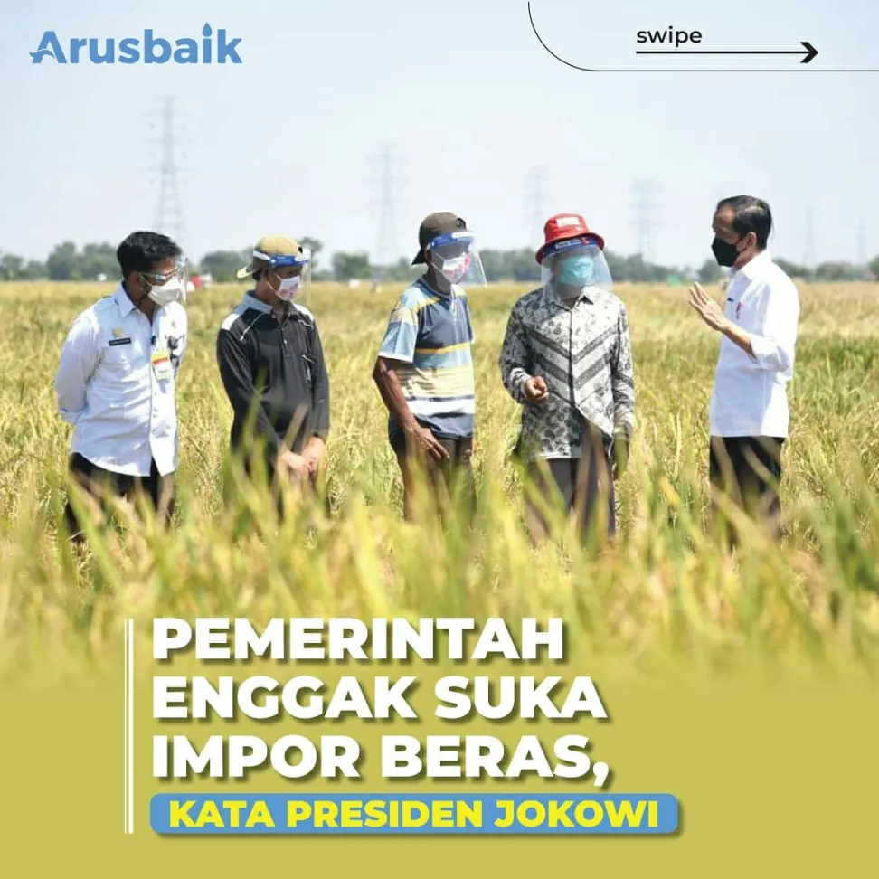 Pemerintah Enggak Suka Impor Beras, Kata Presiden Jokowi