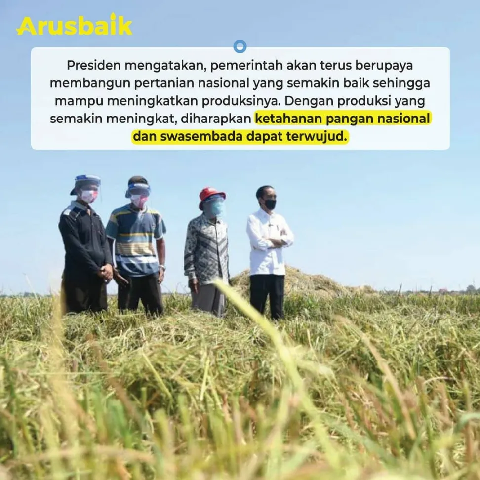 Pemerintah Enggak Suka Impor Beras, Kata Presiden Jokowi
