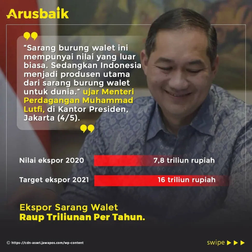 Harta Karun baru Indonesia, Sarang Burung Walet dan Tanaman Liar Porang, Bawa Keuntungan Triliunan Rupiah