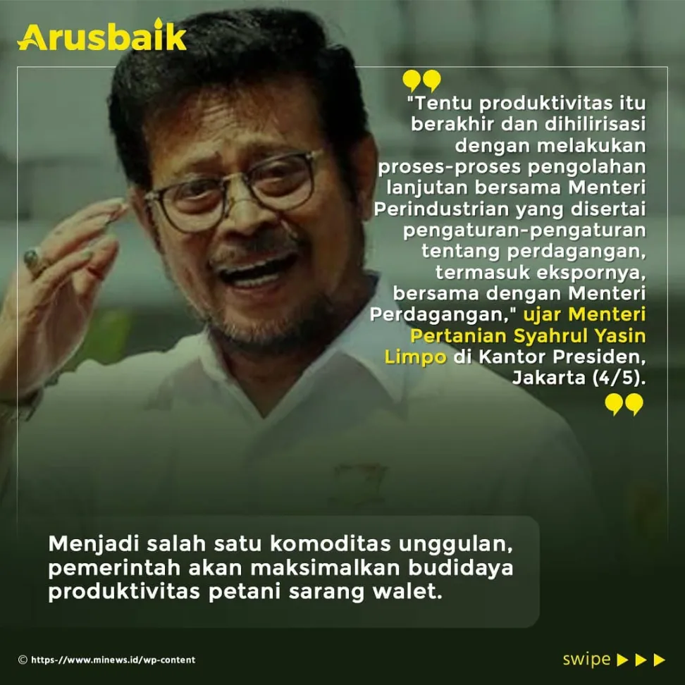Harta Karun baru Indonesia, Sarang Burung Walet dan Tanaman Liar Porang, Bawa Keuntungan Triliunan Rupiah