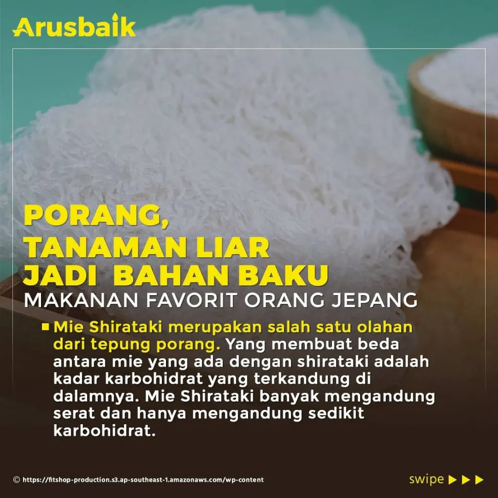 Harta Karun baru Indonesia, Sarang Burung Walet dan Tanaman Liar Porang, Bawa Keuntungan Triliunan Rupiah