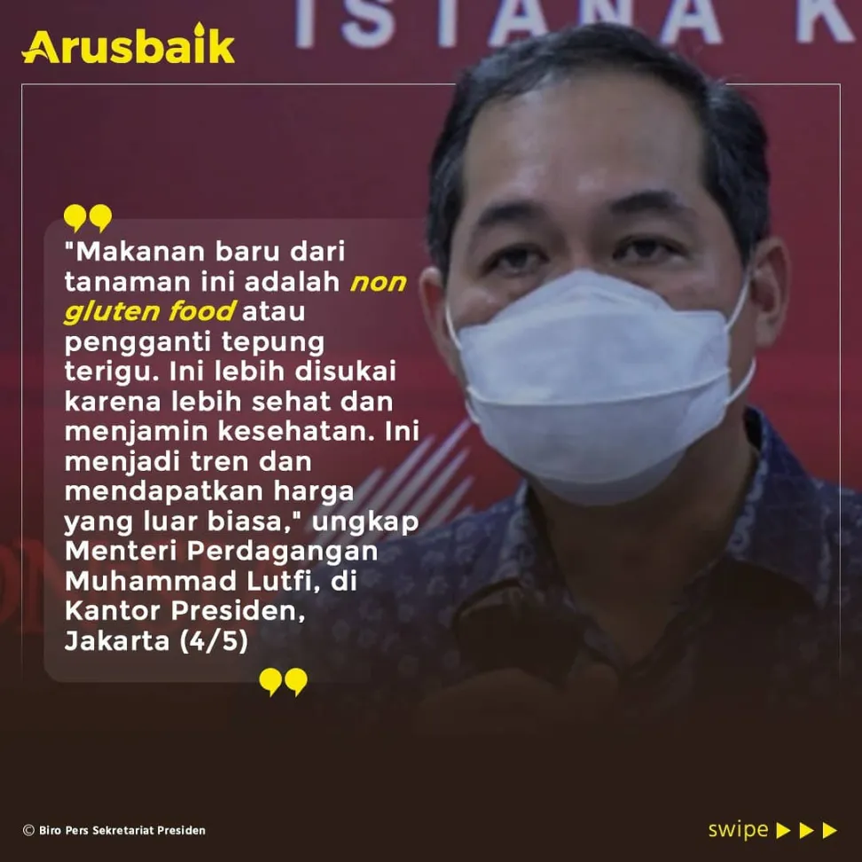 Harta Karun baru Indonesia, Sarang Burung Walet dan Tanaman Liar Porang, Bawa Keuntungan Triliunan Rupiah