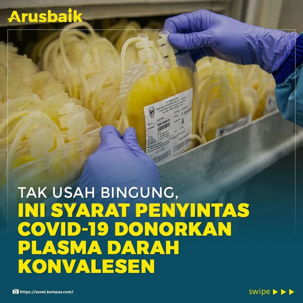 Dari aku ok, palTak Usah Bingung, Ini Syarat Penyintas Covid-19 Donorkan Plasma Darah Konvalesen
