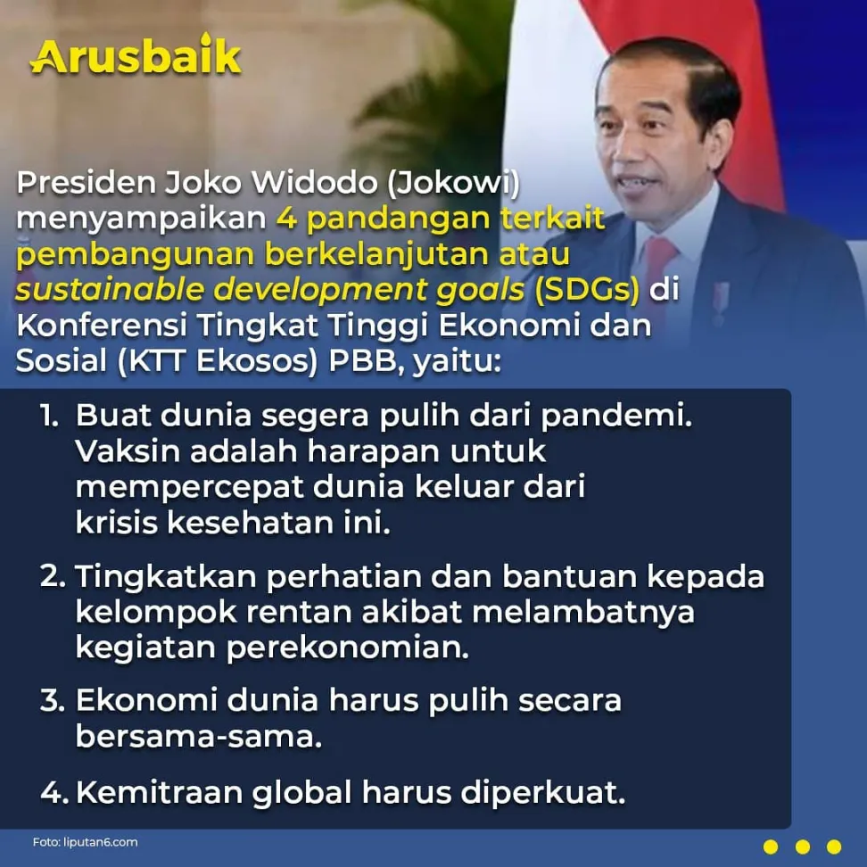 4 Pandangan Presiden Jokowi di KTT Dewan Ekosos PBB