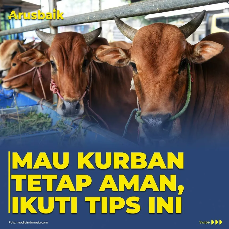 Mau Kurban Tetap Aman, Ikuti Tips Ini