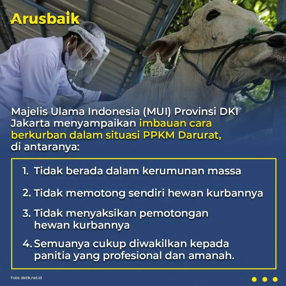 Mau Kurban Tetap Aman, Ikuti Tips Ini