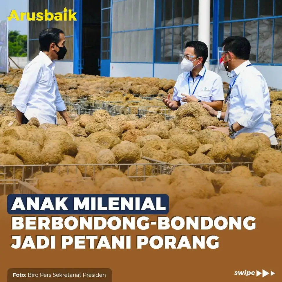 Anak Milenial Berbondong-Bondong Jadi Petani Porang