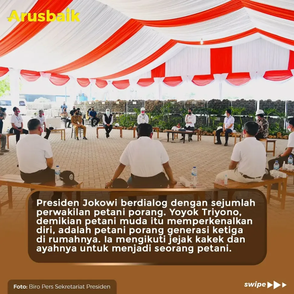 Anak Milenial Berbondong-Bondong Jadi Petani Porang