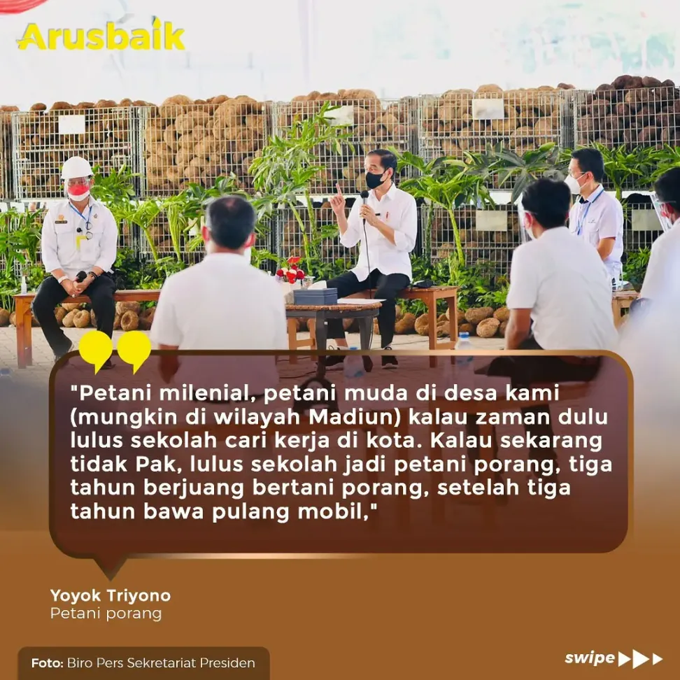 Anak Milenial Berbondong-Bondong Jadi Petani Porang