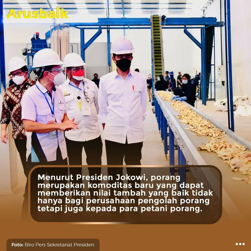 Anak Milenial Berbondong-Bondong Jadi Petani Porang