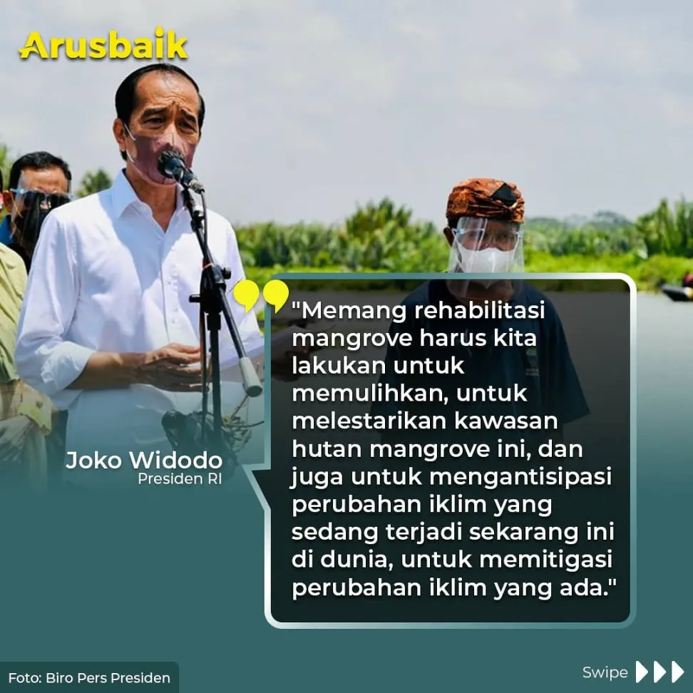 Presiden Targetkan Rehabilitasi 34 Ribu Hektare Lahan Mangrove