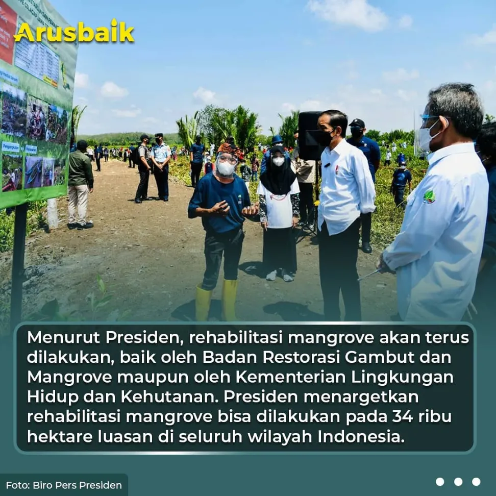 Presiden Targetkan Rehabilitasi 34 Ribu Hektare Lahan Mangrove