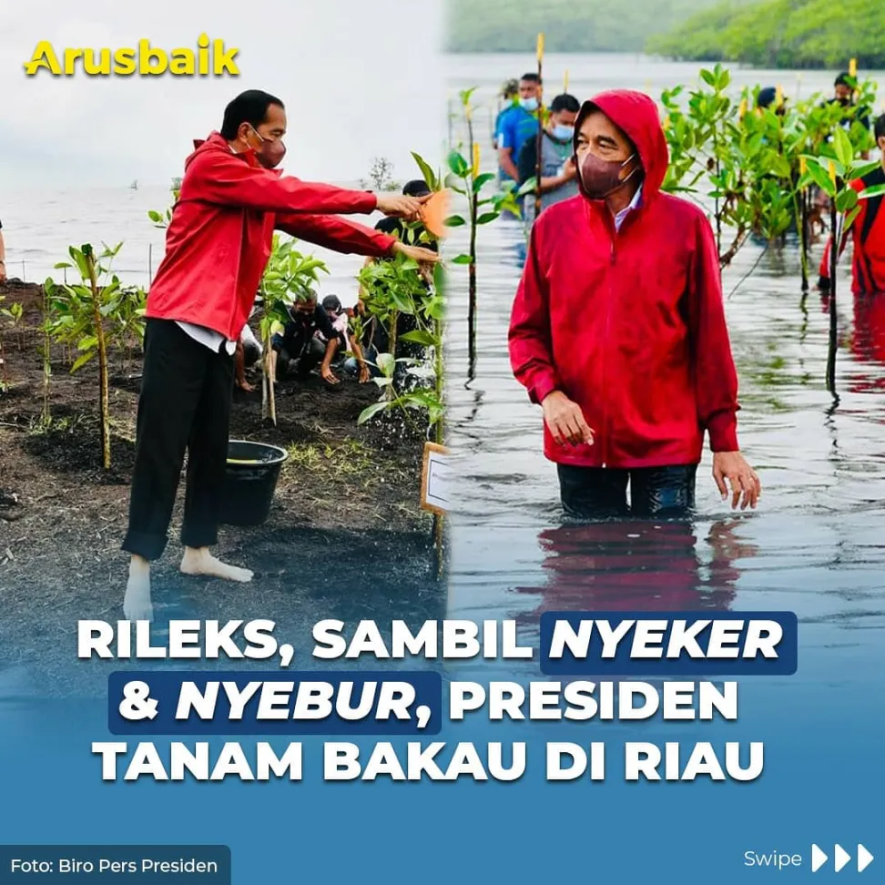 Rileks, Sambil Nyeker & Nyebur, Presiden Tanam Bakau di Riau