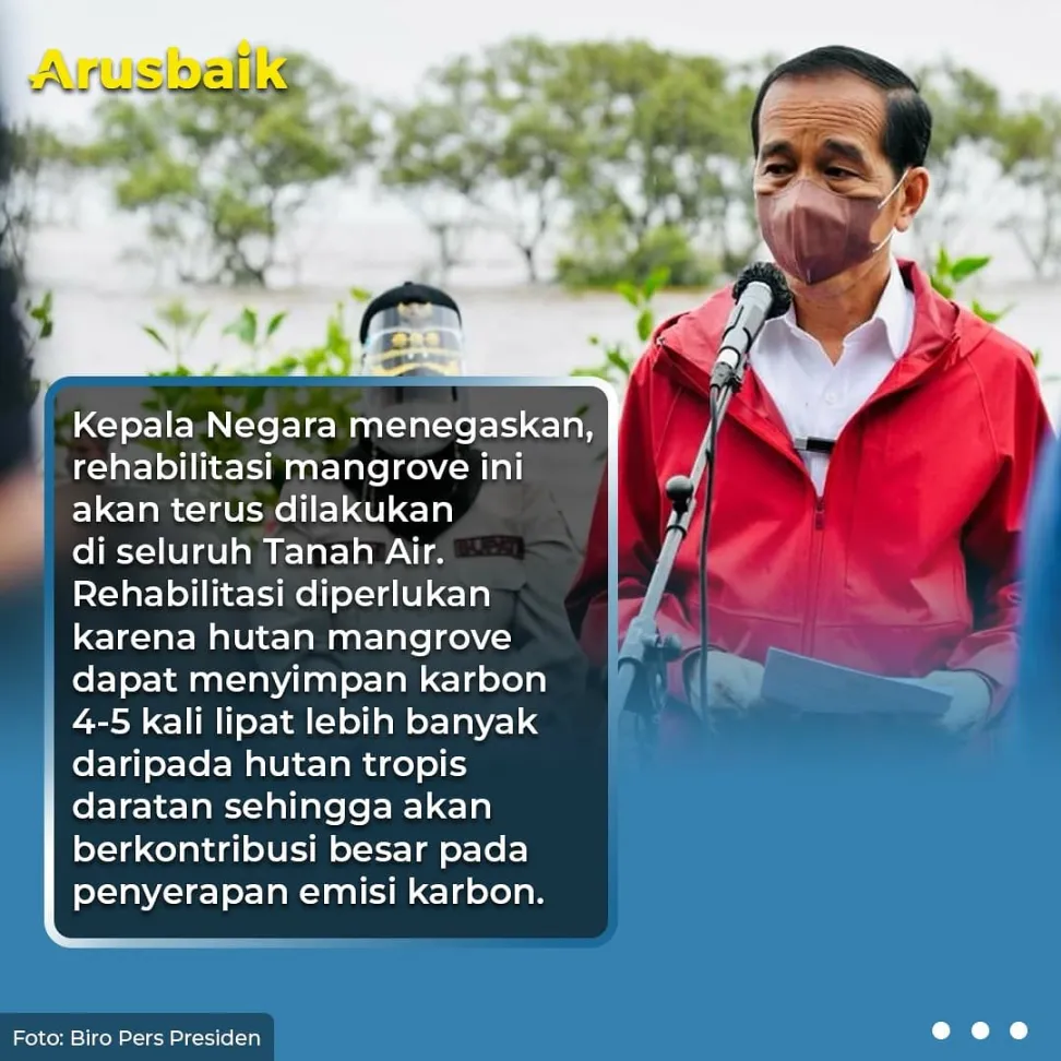 Rileks, Sambil Nyeker & Nyebur, Presiden Tanam Bakau di Riau