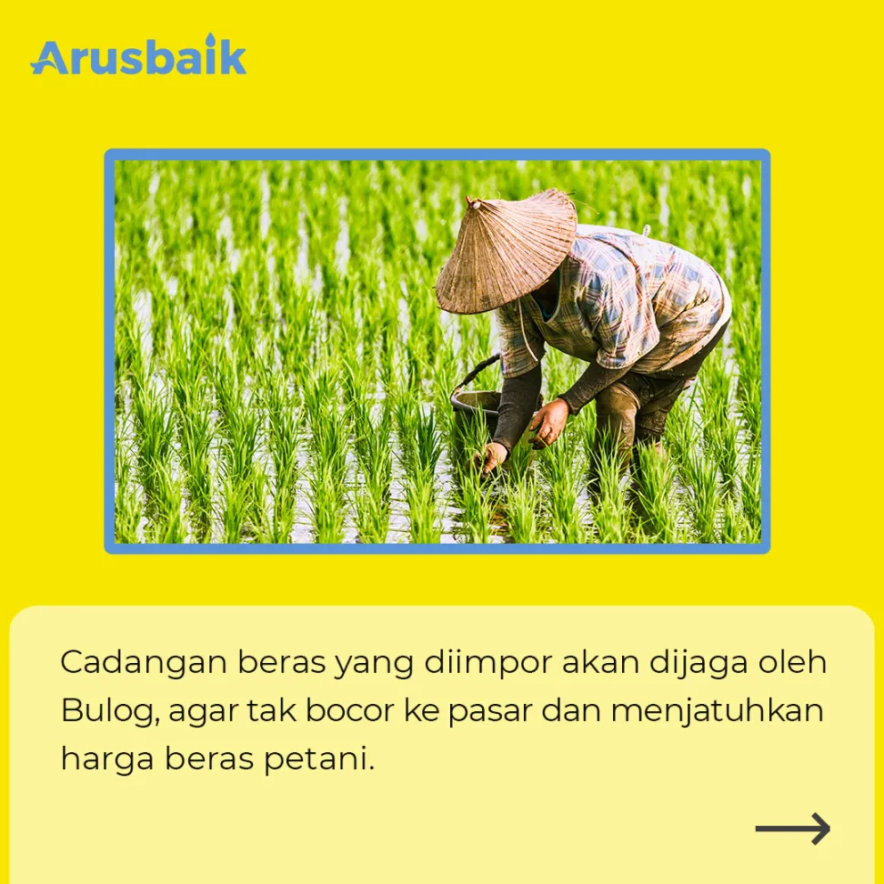 Impor Beras Demi Antisipasi Krisis