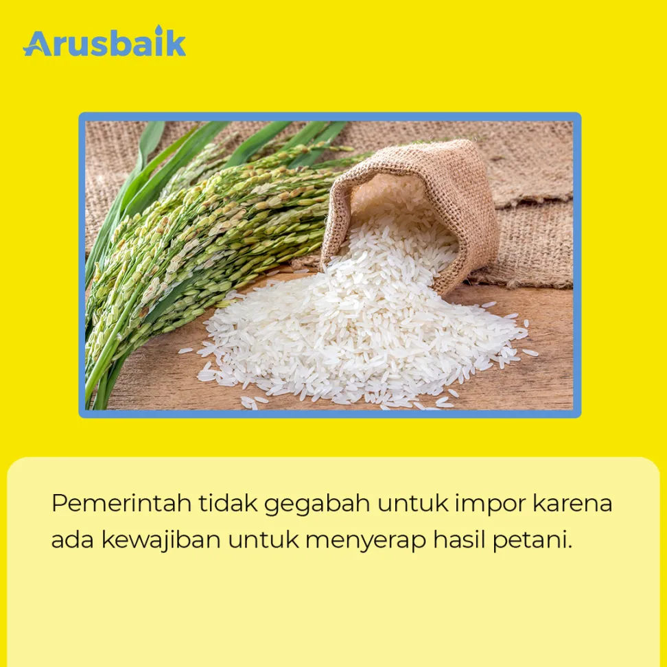 Impor Beras Demi Antisipasi Krisis