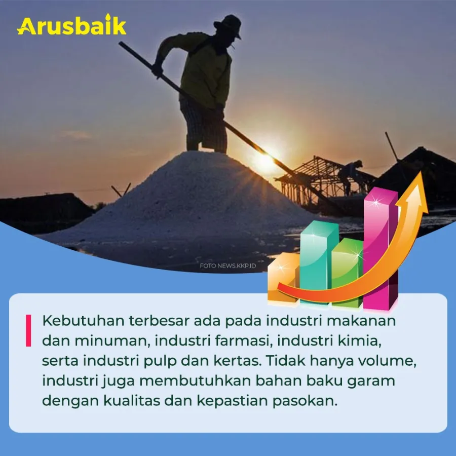 Impor Garam 3 Juta Ton Harus Lewati Audit Ketat, Lho!