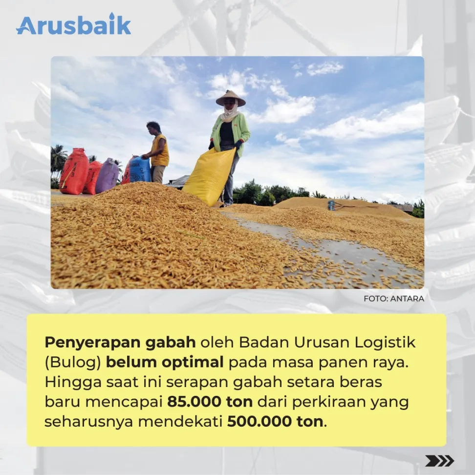 Kebijakan Impor Beras, Tidak Populer Tapi Terpaksa Dilakukan