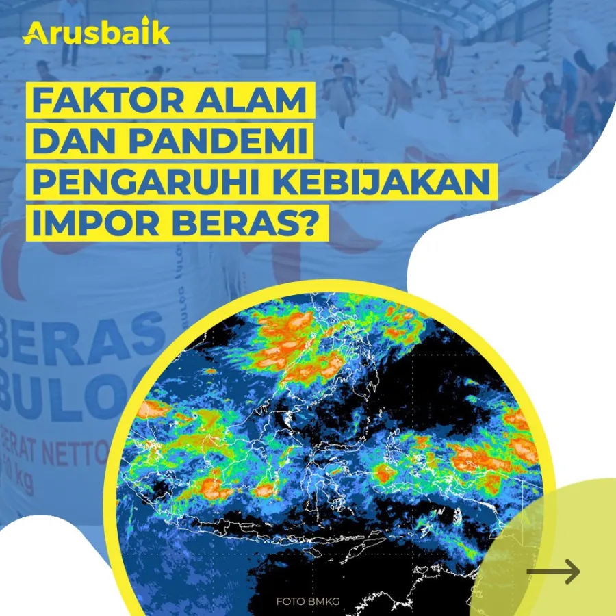 Faktor Alam Dan Pandemi Pengaruhi Kebijakan Impor Beras?