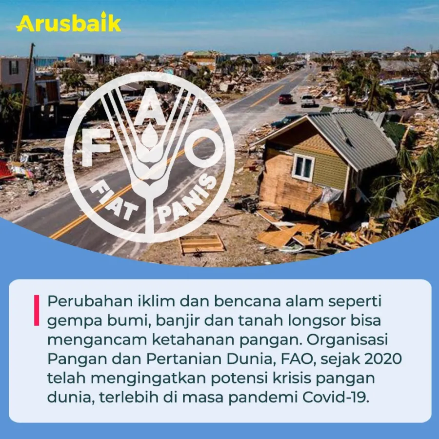Faktor Alam Dan Pandemi Pengaruhi Kebijakan Impor Beras?