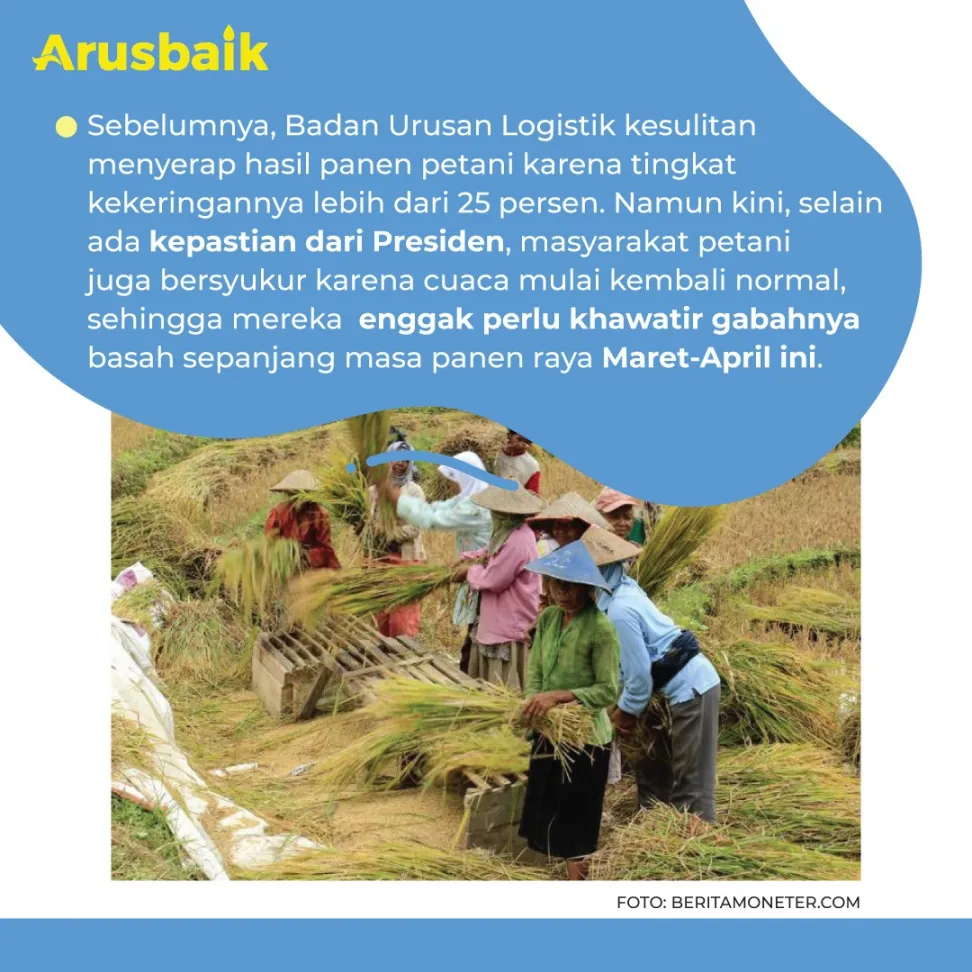 Petani Beri Apresiasi Pada Presiden Jokowi Karena Tidak Jadi Impor Beras