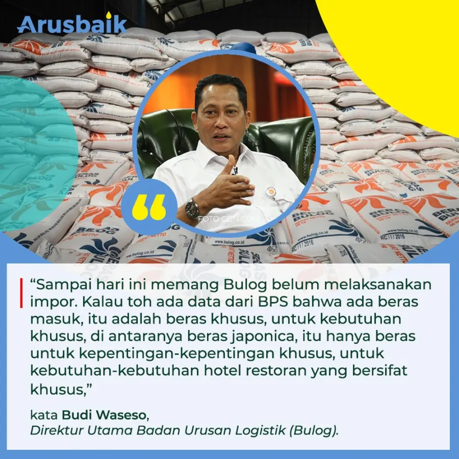 BPS Benarkan Presiden Tentang 3 Tahun Enggak Impor Beras