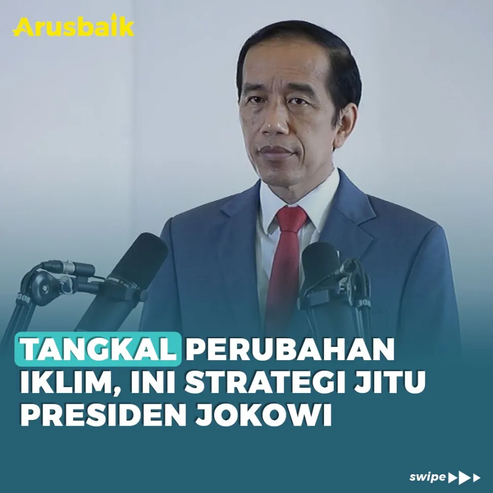 Tangkal Perubahan Iklim, Ini Strategi Jitu Presiden Jokowi