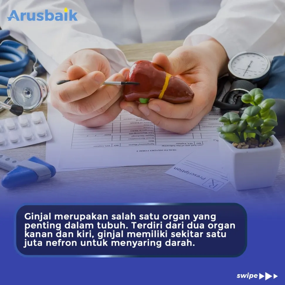 Yuk Konsumsi 5 Makanan Ini , Biar Ginjal Sehat