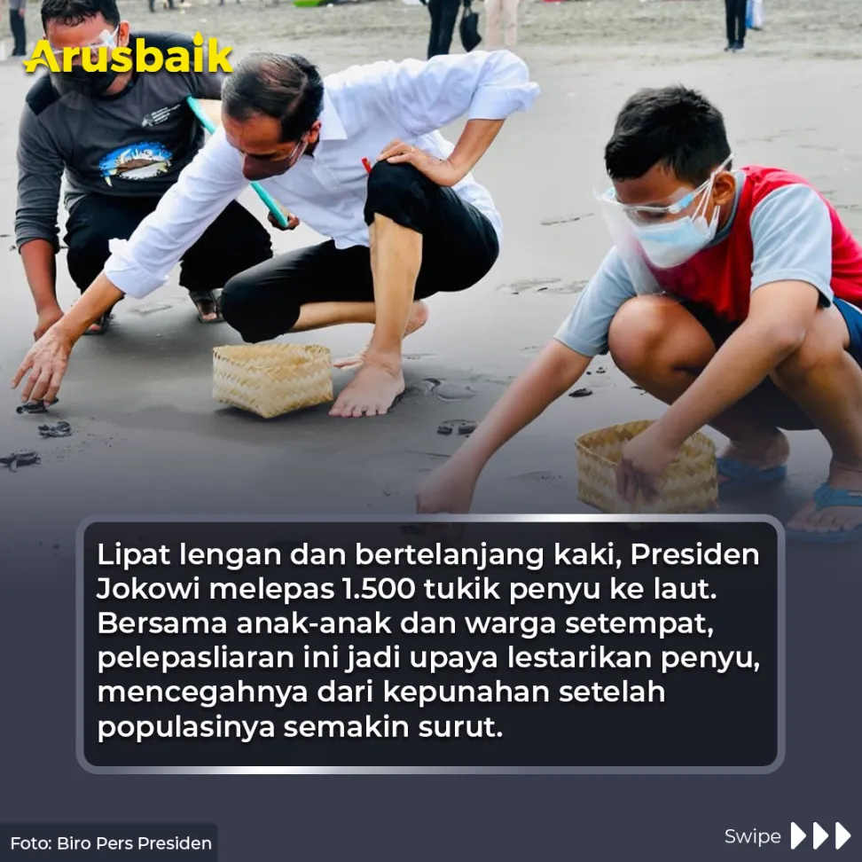 Santai Sambil Lepas Sepatu, Presiden Lepas Tukik Penyu