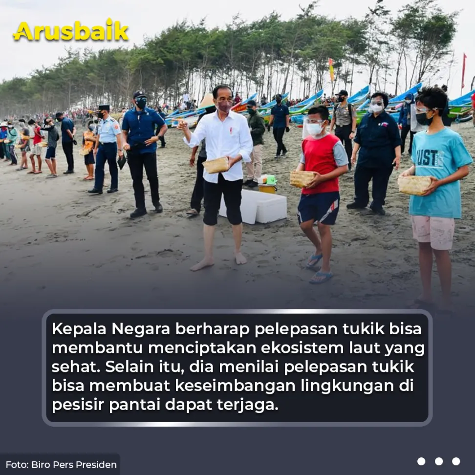Santai Sambil Lepas Sepatu, Presiden Lepas Tukik Penyu