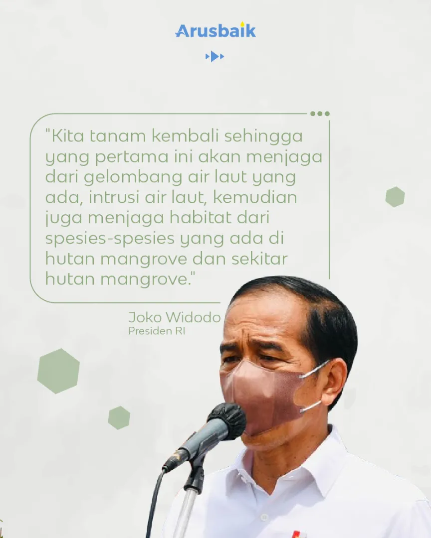 Kaltara Bersemi Kembali Dari Mangrove Hingga Vaksinasi