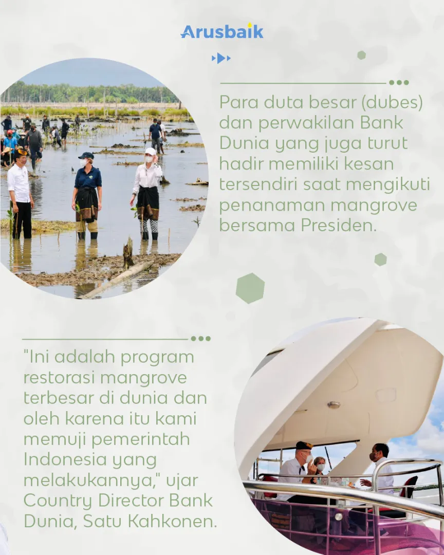 Kaltara Bersemi Kembali Dari Mangrove Hingga Vaksinasi