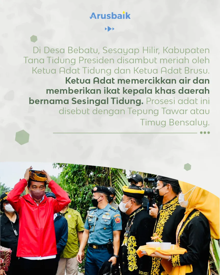 Kaltara Bersemi Kembali Dari Mangrove Hingga Vaksinasi