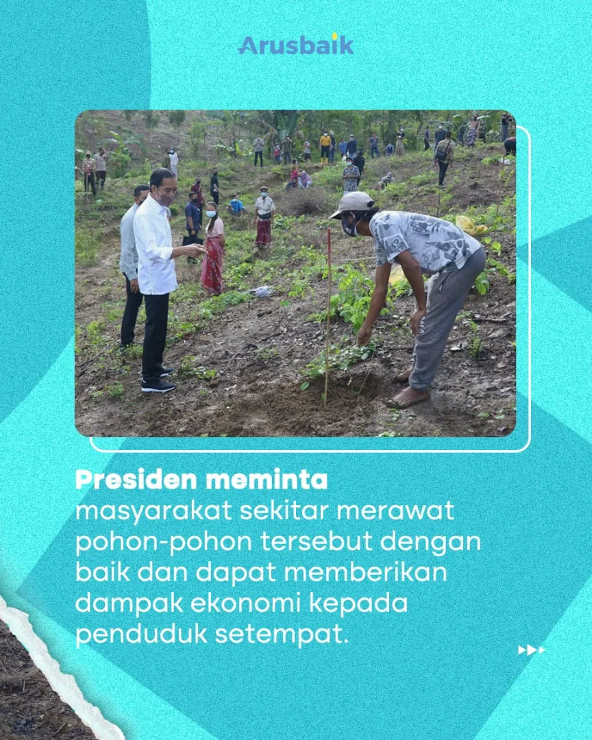 Cegah Longsor Dan Banjir, Presiden Ajak Warga Tanam Pohon