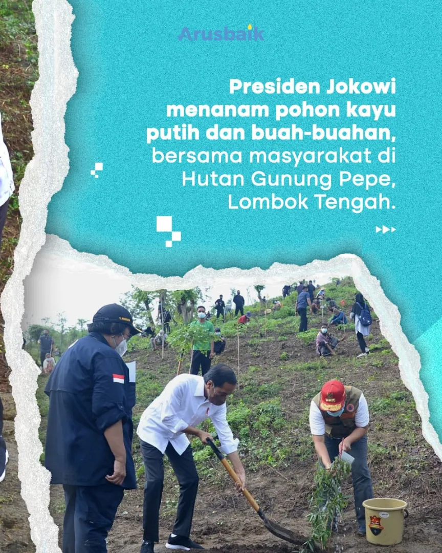 Cegah Longsor Dan Banjir, Presiden Ajak Warga Tanam Pohon