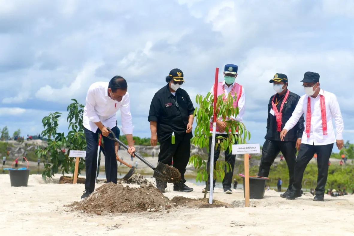 Tanam Pohon, Presiden Perbaiki Hutan Rusak Sejak Tahun 90-an