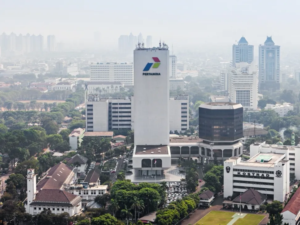 Pertamina dan PLN Didorong untuk Transisi ke Energi Hijau