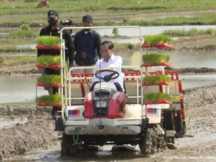 Usai Resmikan Bendungan, Presiden Tanam Padi Bareng Petani Trenggalek